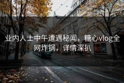 业内人士中午遭遇秘闻，糖心vlog全网炸锅，详情深扒