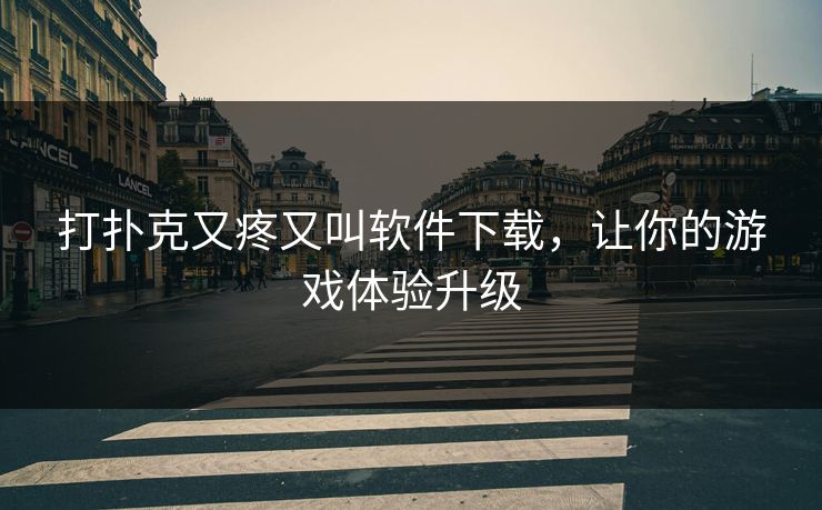 打扑克又疼又叫软件下载，让你的游戏体验升级