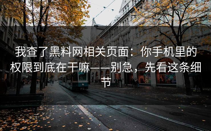 我查了黑料网相关页面：你手机里的权限到底在干嘛——别急，先看这条细节