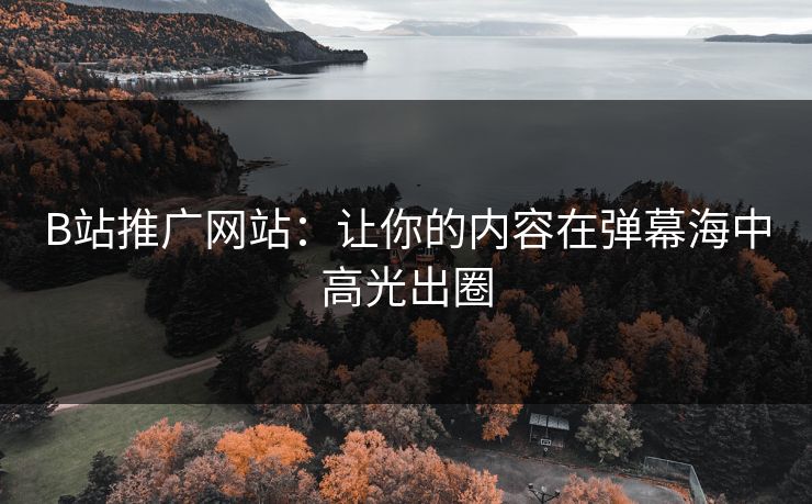 B站推广网站：让你的内容在弹幕海中高光出圈